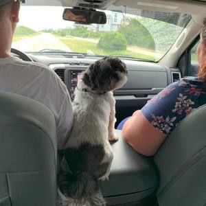 Meet your Posher, Susan